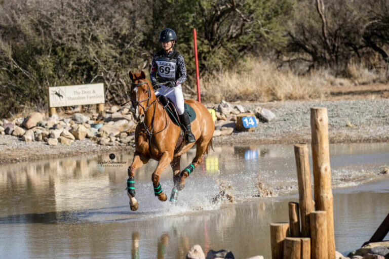 Southern AZ Eventing Horse Trails Pima County FairPima County Fair